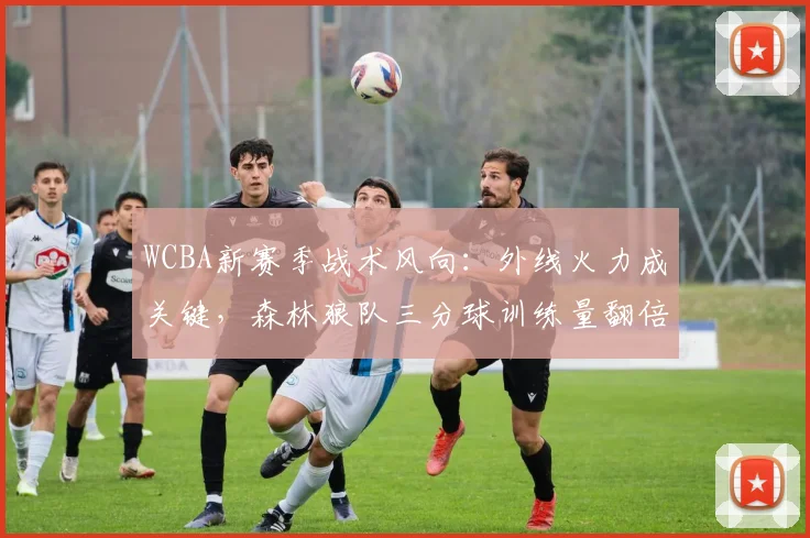 WCBA新赛季战术风向:外线火力成关键,森林狼队三分球训练量翻倍
