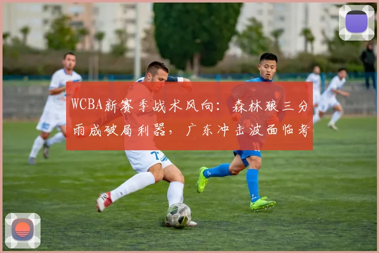 WCBA新赛季战术风向:森林狼三分雨成破局利器,广东冲击波面临考验