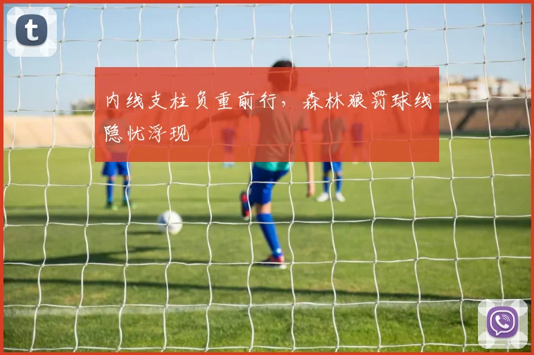 内线支柱负重前行，森林狼罚球线隐忧浮现 - 足彩网